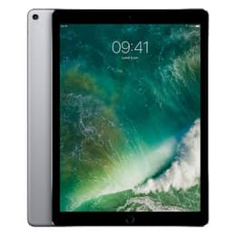 iPad Pro 12.9 (2017) 2:a generationen 256 Go - WiFi + 4G - Grå Utrymme