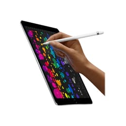 iPad Pro 10.5 (2017) 1:a generationen 256 Go - WiFi - Silver