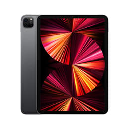 iPad Pro 11 (2021) Tredje generationen 1000 Go - WiFi + 5G - Grå Utrymme