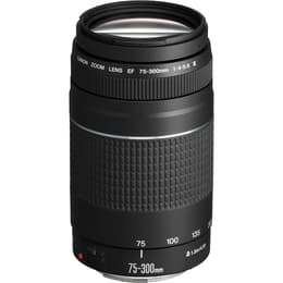 Canon Objektiv 75-300 mm f/4-5.6 III 75-300mm f/4-5.6