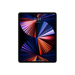 iPad Pro 12.9" (2021) 5:e generationen 256 Go - WiFi - Grå Utrymme