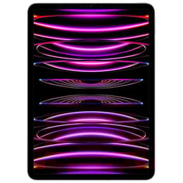 iPad Pro 12.9 (2022) 6:e generationen 256 Go - WiFi - Grå Utrymme