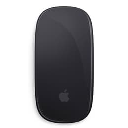 Magic mouse 2 Trådlös - Grå utrymme