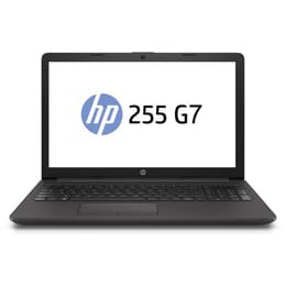 HP 255 G7 15-tum (2018) - Ryzen 3 - 3000 Series (U) - 8GB - SSD 256 GB QWERTY - Spansk