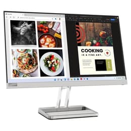 24-tum Lenovo L24I-4A 1920 x 1080 LED Monitor Grå