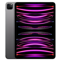 iPad Pro 11" (2022) 4:e generationen 2000 Go - WiFi + 5G - Grå Utrymme