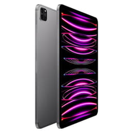 iPad Pro 11" (2022) 4:e generationen 2000 Go - WiFi + 5G - Grå Utrymme