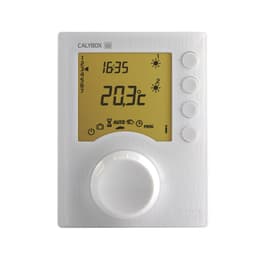 Delta Dore Calybox 230 Termostat