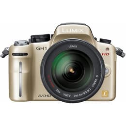 Annat Lumix DMC-GH1 - Guld + Panasonic Panasonic Lumix G VARIO 14-140 mm f/4-5.8 f/4-5.8 f/3.5-5.6