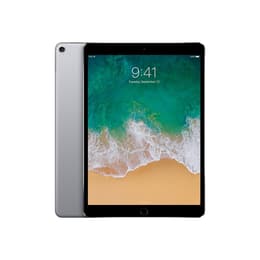 iPad Pro 10.5 (2017) 1:a generationen 64 Go - WiFi + 4G - Grå Utrymme