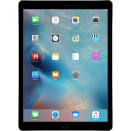 iPad Pro 12.9 (2017) 2:a generationen 512 Go - WiFi - Grå Utrymme