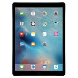 iPad Pro 12.9" (2015) 1:a generationen 32 Go - WiFi - Grå Utrymme