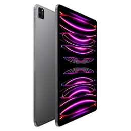 iPad Pro 12.9" (2022) 6:e generationen 2000 Go - WiFi + 5G - Grå Utrymme