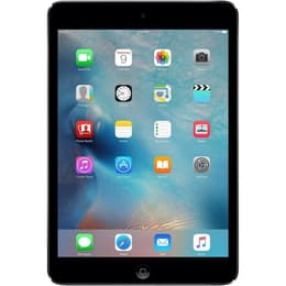 iPad mini (2013) 16 Go - WiFi + 4G - Grå Utrymme