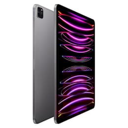 iPad Pro 12.9 (2022) 6:e generationen 512 Go - WiFi - Grå Utrymme