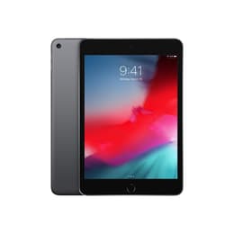 iPad mini (2019) 5:e generationen 64 Go - WiFi - Grå Utrymme