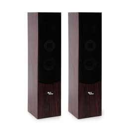 Evidence Acoustics EA700-WAL PA högtalare