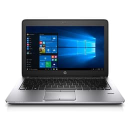 HP EliteBook 725 G3 12-tum PRO A12-8800B - SSD 256 GB - 16GB QWERTY - Spansk
