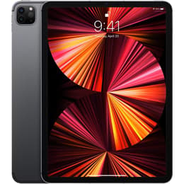 iPad Pro 11" (2021) 5:e generationen 128 Go - WiFi - Grå Utrymme