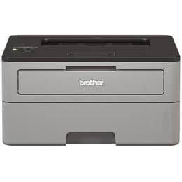 Brother HL-L2350DW Monokrom-laser