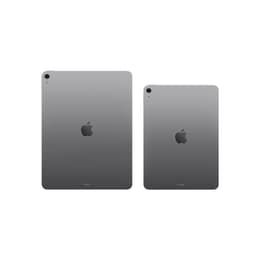 iPad Air 13" (2026) 8:e generationen 256 Go - WiFi - Grå Utrymme