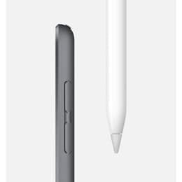 iPad mini (2019) 5:e generationen 64 Go - WiFi + 4G - Grå Utrymme