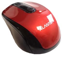 Cortek MOST1B Mus