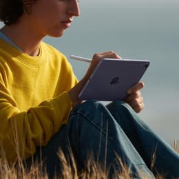 iPad mini (2021) 6:e generationen 64 Go - WiFi - Rosa