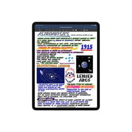 iPad Pro 12.9 (2021) 5:e generationen 512 Go - WiFi - Grå Utrymme