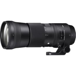 Sigma Objektiv 150-600 mm F5-6.3 DG OS HSM DG 150-600mm F/5-6.3