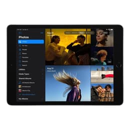 iPad 10.2" (2019) 7:e generationen 128 Go - WiFi - Silver