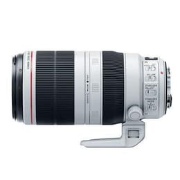 Objektiv EF 100-400mm 4.5