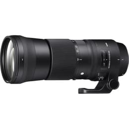 Sigma Objektiv 150-600 mm F5-6.3 DG OS HSM 150-600mm F/5-6.3
