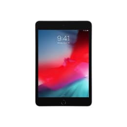 iPad mini (2019) 5:e generationen 256 Go - WiFi + 4G - Grå Utrymme
