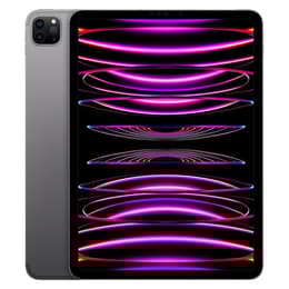 iPad Pro 11 (2022) 4:e generationen 256 Go - WiFi + 5G - Grå Utrymme