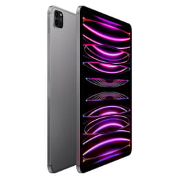 iPad Pro 11 (2022) 4:e generationen 256 Go - WiFi + 5G - Grå Utrymme