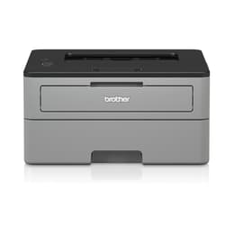 Brother HL-L2310D Monokrom-laser