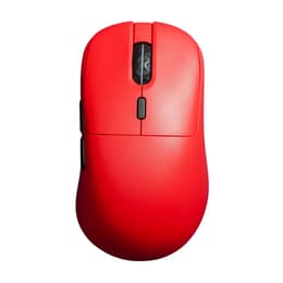 Cortek MORF5R Mus Wireless