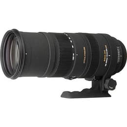 Sigma Objektiv 150-500mm f/5-6.3 DG OS HSM 150-500mm f/5-6.3
