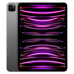 iPad Pro 11 (2022) 4:e generationen 512 Go - WiFi - Grå Utrymme