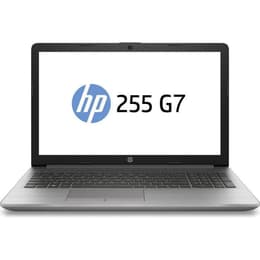 HP 255 G7 15-tum (2019) - Ryzen 5 2500U - 16GB - SSD 256 GB QWERTY - Engelsk