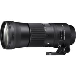 Sigma Objektiv 150-600mm 5-6.3 DG DN OS SPORT Sony E Standard f/5-6.3