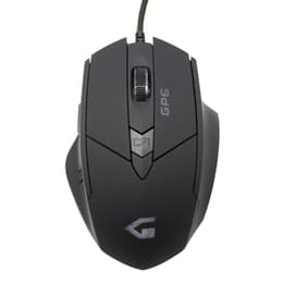 Cortek GP 6 Mus