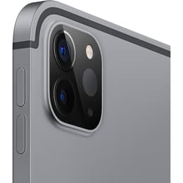 iPad Pro 11 (2020) 2:a generationen 256 Go - WiFi - Grå Utrymme