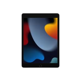 iPad 10.2" (2021) 9:e generationen 256 Go - WiFi + 4G - Silver