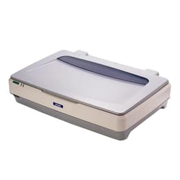 Epson gt-20000 Skanner
