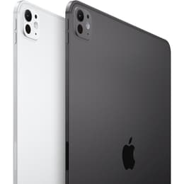 iPad Pro 13 M4 (2024) 7:e generationen 512 Go - WiFi + 5G - Silver