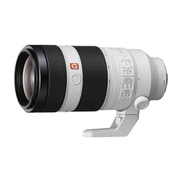Sony Objektiv SEL100400GM 100-400mm F4.5-5.6