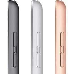 iPad 10.2 (2020) 8:e generationen 128 Go - WiFi - Grå Utrymme