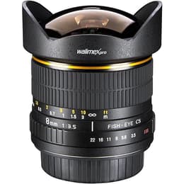 Walimex Pro Objektiv 8mm f/3.5 Fish-Eye Lens Nikon F 8mm f/3.5